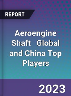 Aeroengine Shaft Global and China Top Players Market