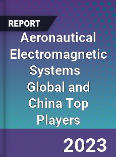 Aeronautical Electromagnetic Systems Global and China Top Players Market