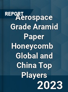 Aerospace Grade Aramid Paper Honeycomb Global and China Top Players Market