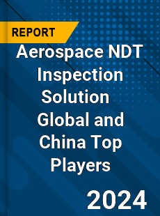 Aerospace NDT Inspection Solution Global and China Top Players Market