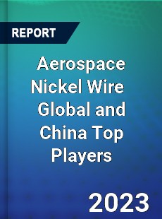 Aerospace Nickel Wire Global and China Top Players Market