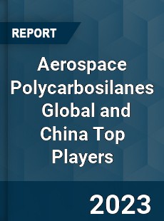 Aerospace Polycarbosilanes Global and China Top Players Market
