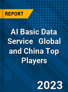 AI Basic Data Service Global and China Top Players Market