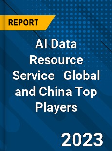 AI Data Resource Service Global and China Top Players Market