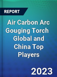 Air Carbon Arc Gouging Torch Global and China Top Players Market