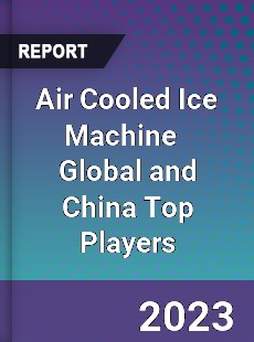 Air Cooled Ice Machine Global and China Top Players Market