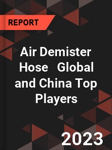 Air Demister Hose Global and China Top Players Market