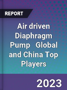 Air driven Diaphragm Pump Global and China Top Players Market