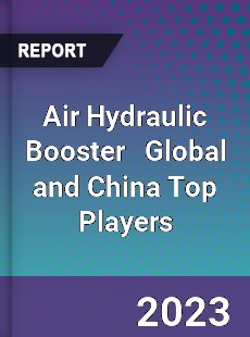 Air Hydraulic Booster Global and China Top Players Market