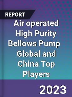 Air operated High Purity Bellows Pump Global and China Top Players Market