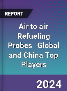 Air to air Refueling Probes Global and China Top Players Market