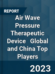 Air Wave Pressure Therapeutic Device Global and China Top Players Market