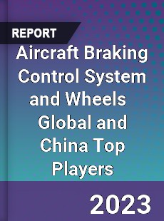 Aircraft Braking Control System and Wheels Global and China Top Players Market