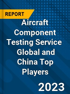 Aircraft Component Testing Service Global and China Top Players Market