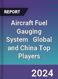 Aircraft Fuel Gauging System Global and China Top Players Market