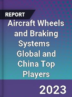 Aircraft Wheels and Braking Systems Global and China Top Players Market