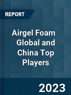 Airgel Foam Global and China Top Players Market