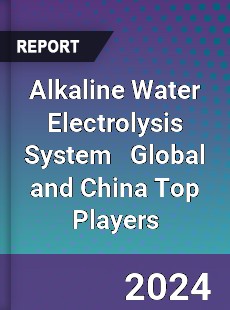 Alkaline Water Electrolysis System Global and China Top Players Market