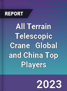 All Terrain Telescopic Crane Global and China Top Players Market