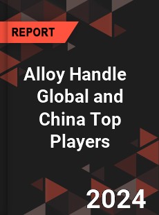 Alloy Handle Global and China Top Players Market