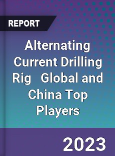 Alternating Current Drilling Rig Global and China Top Players Market