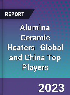 Alumina Ceramic Heaters Global and China Top Players Market