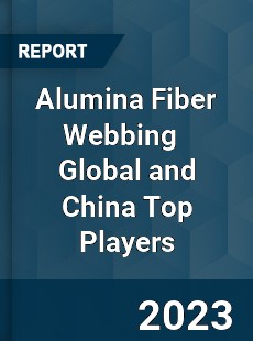 Alumina Fiber Webbing Global and China Top Players Market
