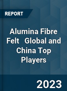 Alumina Fibre Felt Global and China Top Players Market