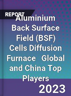 Aluminium Back Surface Field Cells Diffusion Furnace Global and China Top Players Market