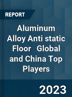 Aluminum Alloy Anti static Floor Global and China Top Players Market