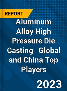 Aluminum Alloy High Pressure Die Casting Global and China Top Players Market