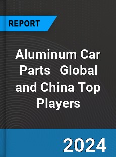 Aluminum Car Parts Global and China Top Players Market