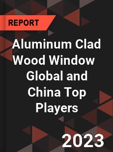 Aluminum Clad Wood Window Global and China Top Players Market