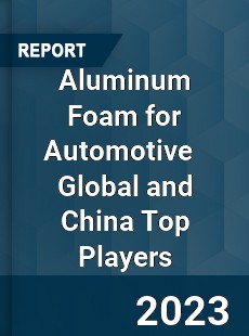 Aluminum Foam for Automotive Global and China Top Players Market