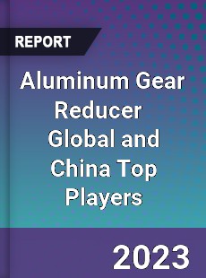 Aluminum Gear Reducer Global and China Top Players Market