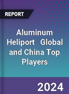 Aluminum Heliport Global and China Top Players Market