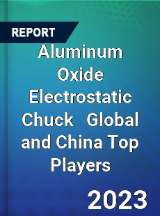 Aluminum Oxide Electrostatic Chuck Global and China Top Players Market