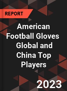 American Football Gloves Global and China Top Players Market