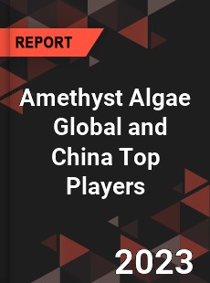 Amethyst Algae Global and China Top Players Market