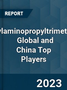 Aminoethylaminopropyltrimethoxysilane Global and China Top Players Market