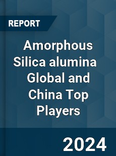 Amorphous Silica alumina Global and China Top Players Market