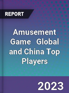 Amusement Game Global and China Top Players Market