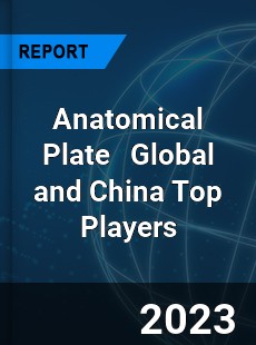 Anatomical Plate Global and China Top Players Market