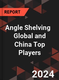 Angle Shelving Global and China Top Players Market