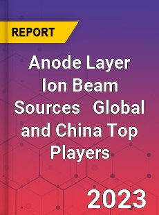 Anode Layer Ion Beam Sources Global and China Top Players Market