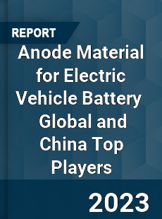 Anode Material for Electric Vehicle Battery Global and China Top Players Market