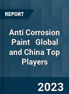 Anti Corrosion Paint Global and China Top Players Market