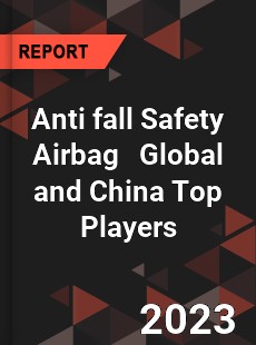 Anti fall Safety Airbag Global and China Top Players Market