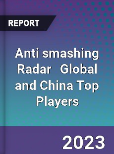 Anti smashing Radar Global and China Top Players Market