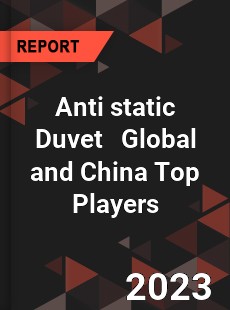 Anti static Duvet Global and China Top Players Market